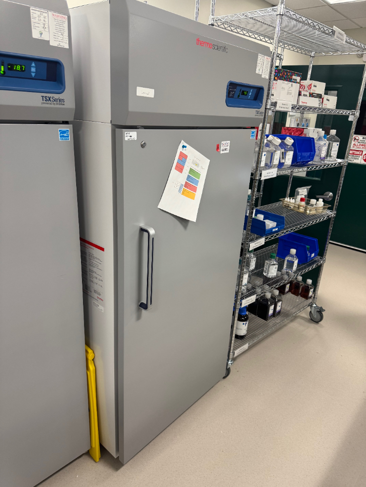 Image of Thermo TSX Series Lab Refrigerator